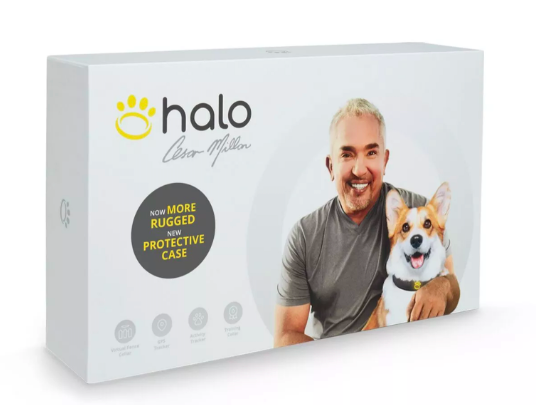 portable dog fence