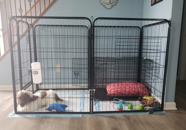 playpen