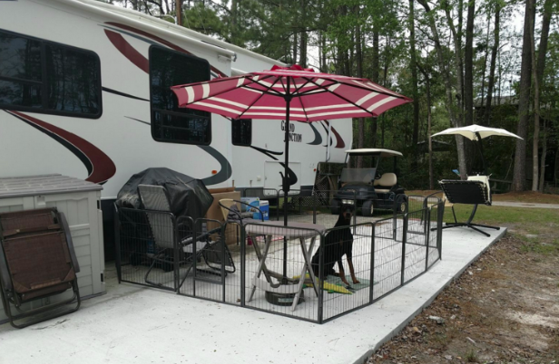 playpen