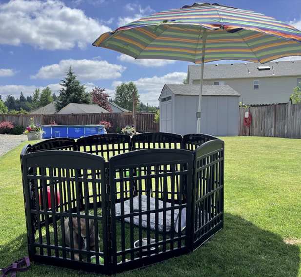playpen