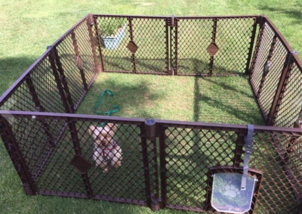 play pen