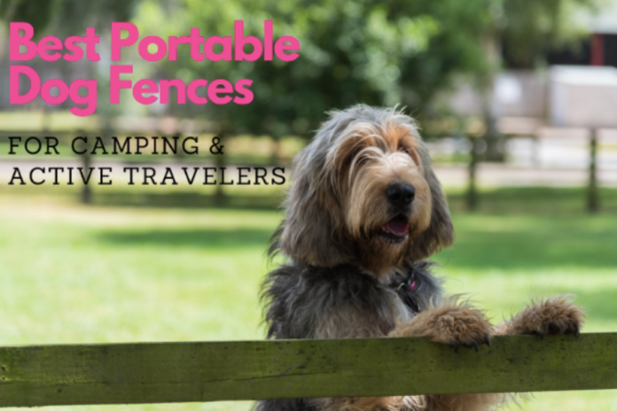 portable dog fences portable dog fences