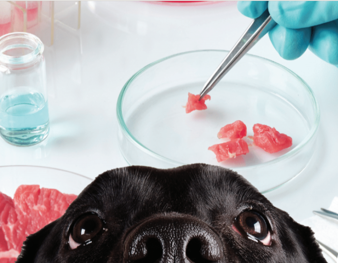LabGrown Meat Should It Be Used in Pet Food? totalPETint