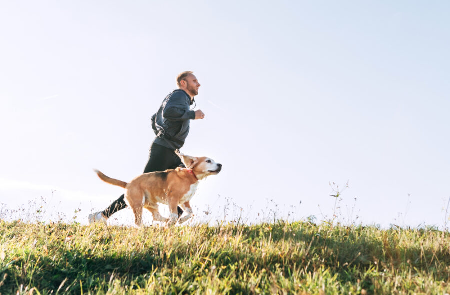 active-folks-have-active-dogs,-says-new-study
