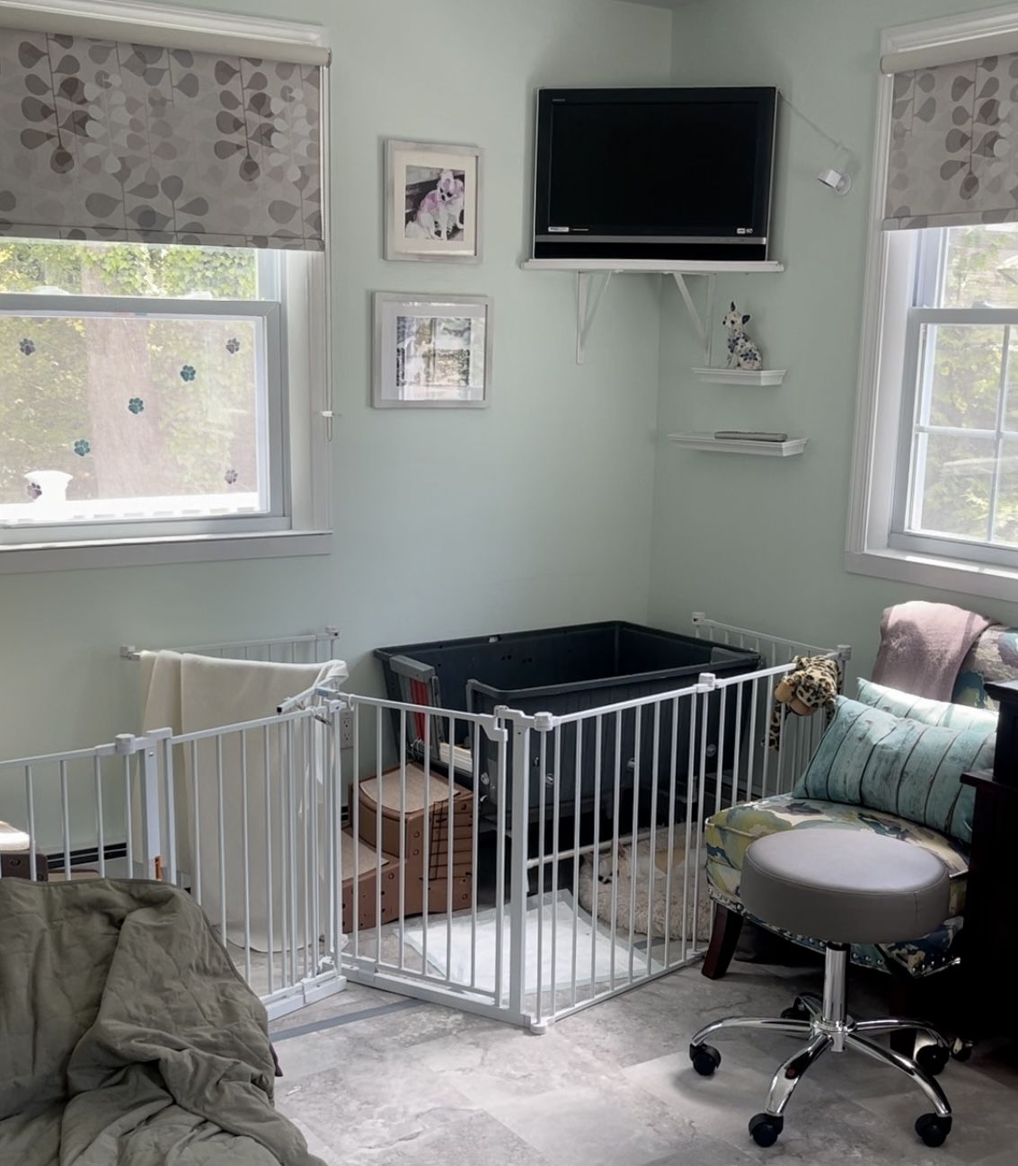 DIY Whelping Box totalPETint